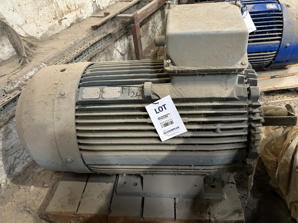 EU533171_2.jpg