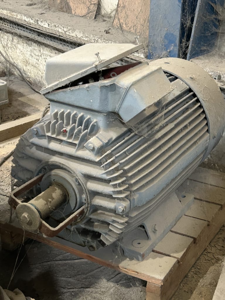 EU533171_6.jpg