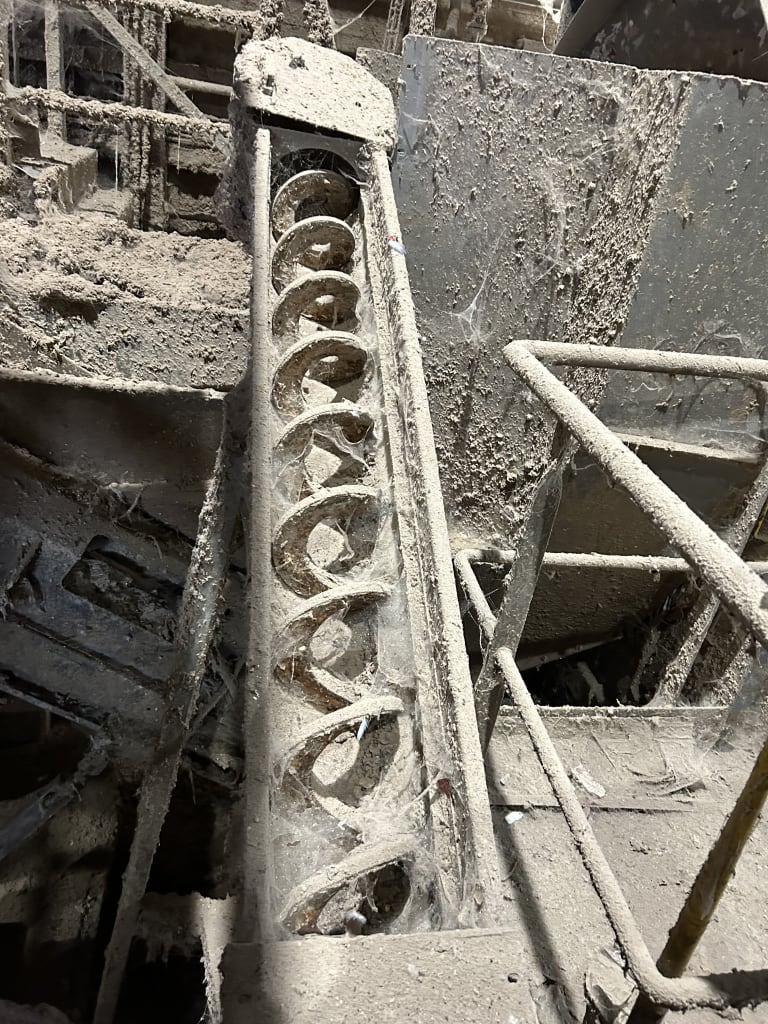 EU533135_3.jpg