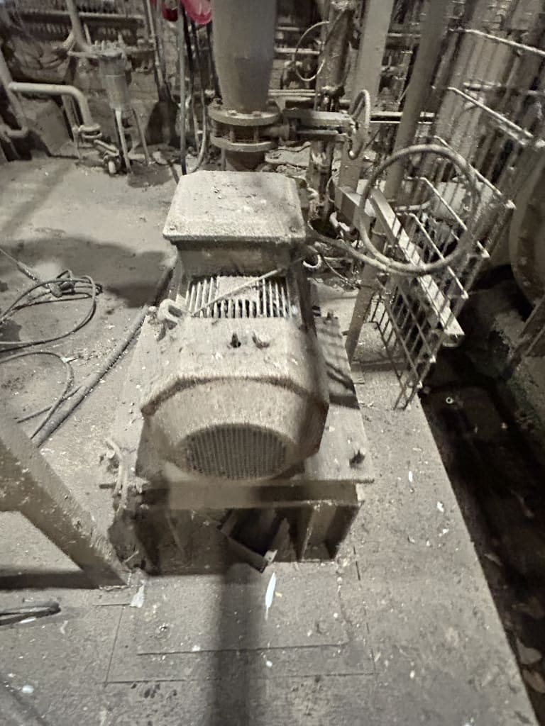 EU533126_7.jpg