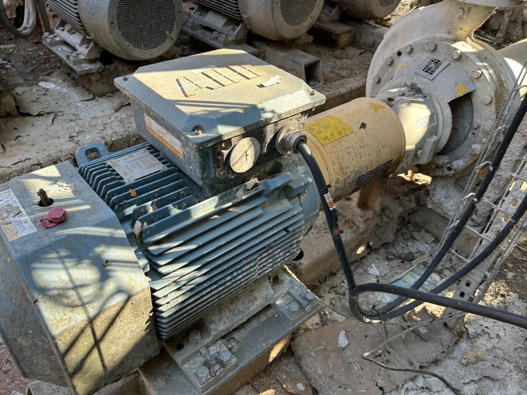 EU533098_19.jpg