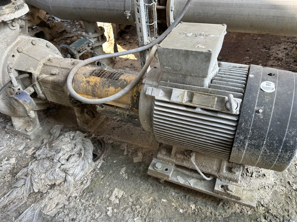 EU533098_24.jpg