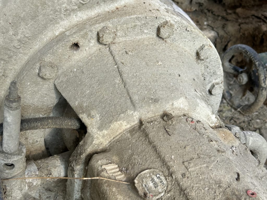 EU533098_27.jpg