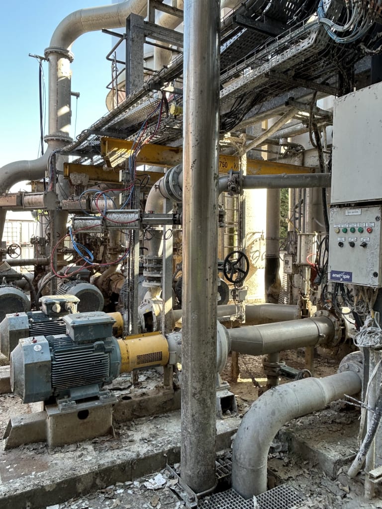 EU533098_31.jpg