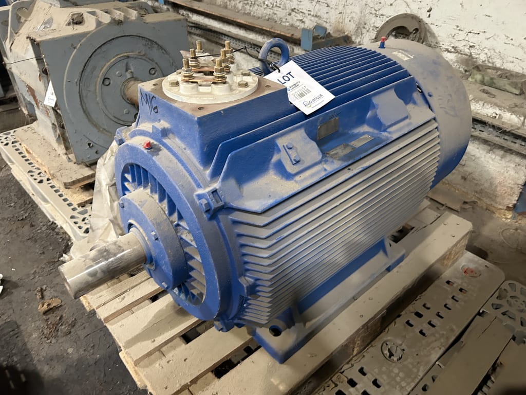 EU533157_2.jpg
