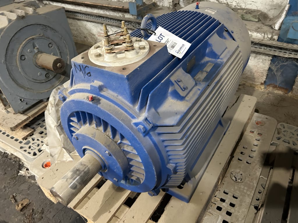 EU533157_4.jpg