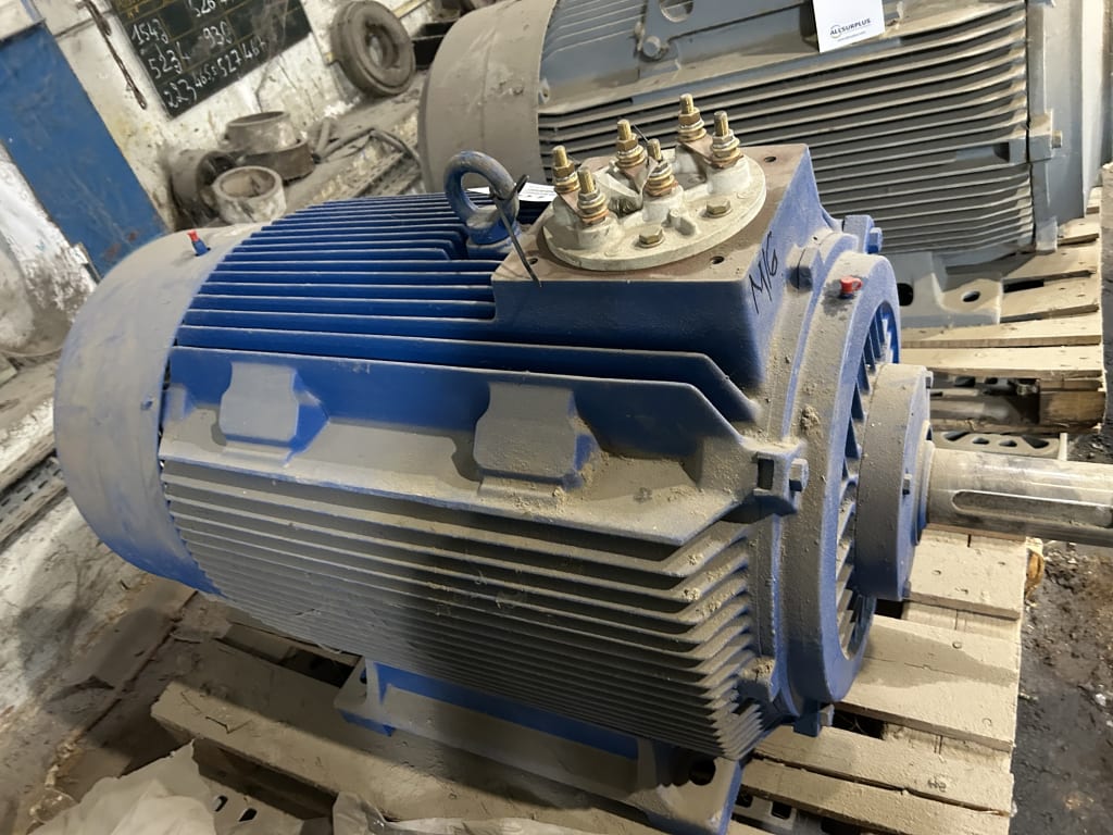 EU533157_5.jpg
