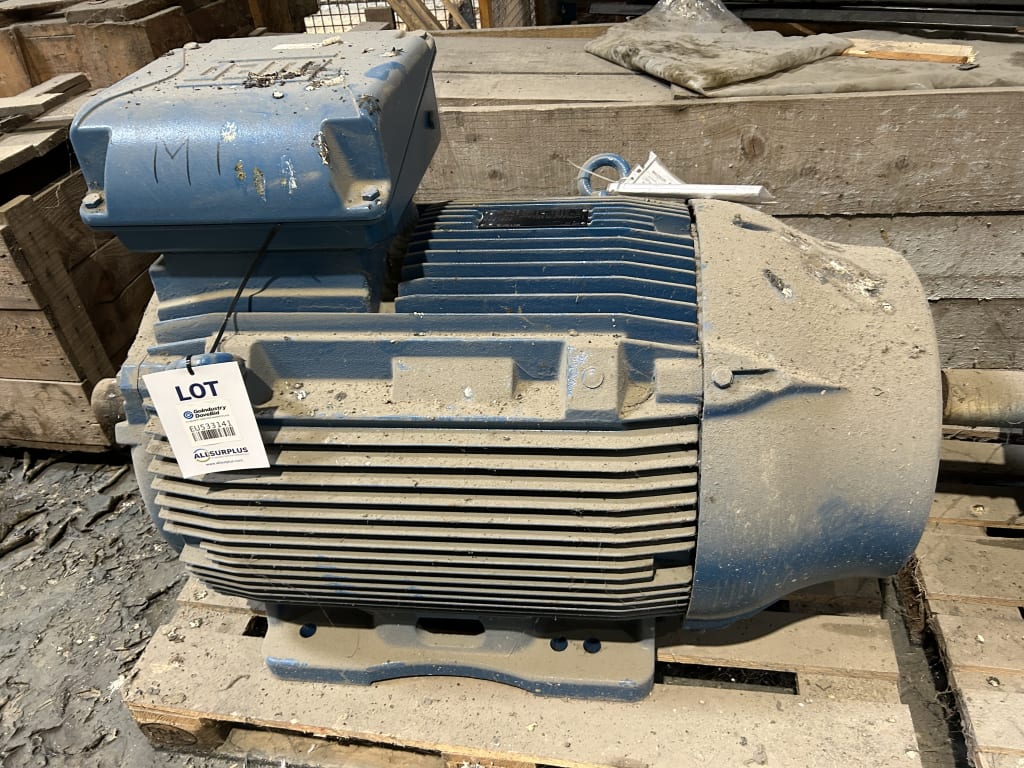 EU533141_1.jpg