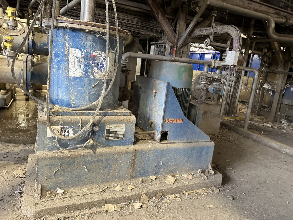 EU533117_3.jpg