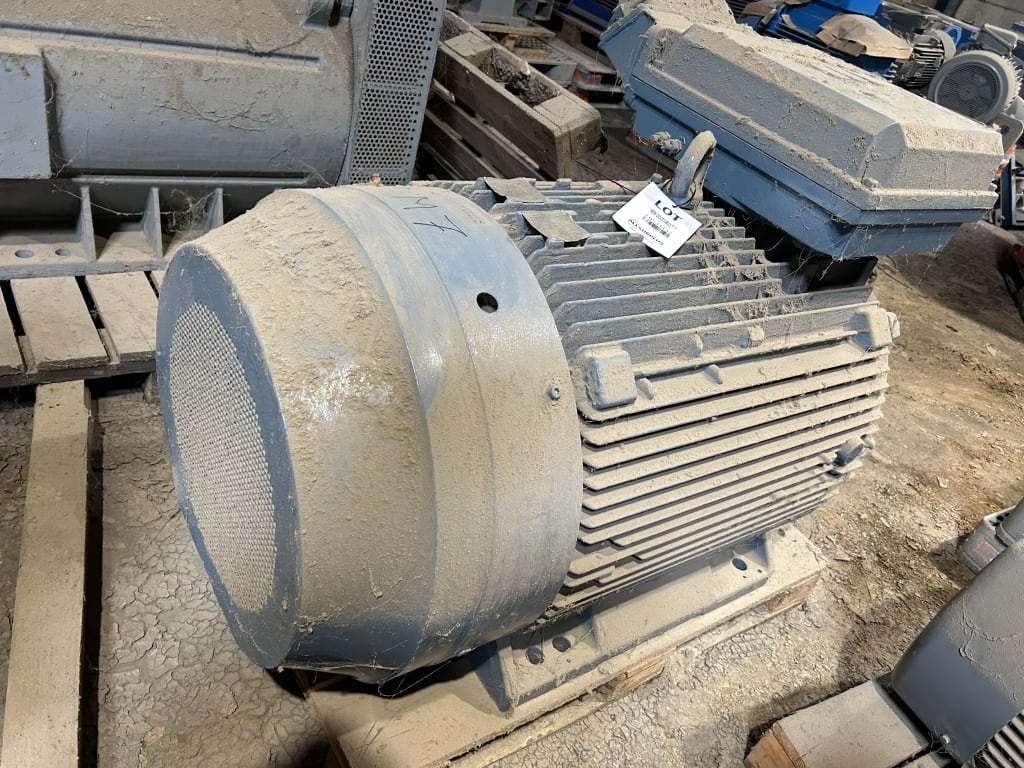 EU533147_1.jpg