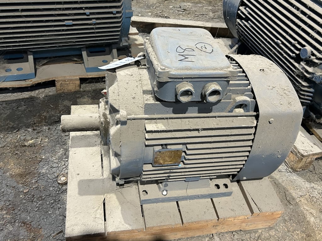 EU533148_1.jpg