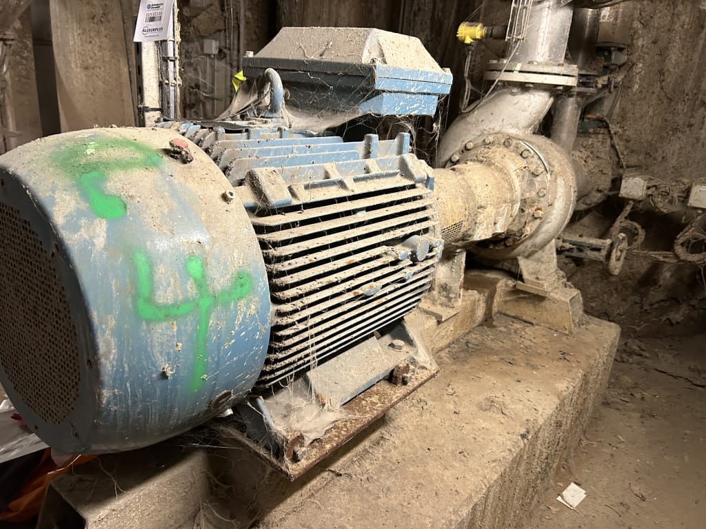 EU533104_1.jpg