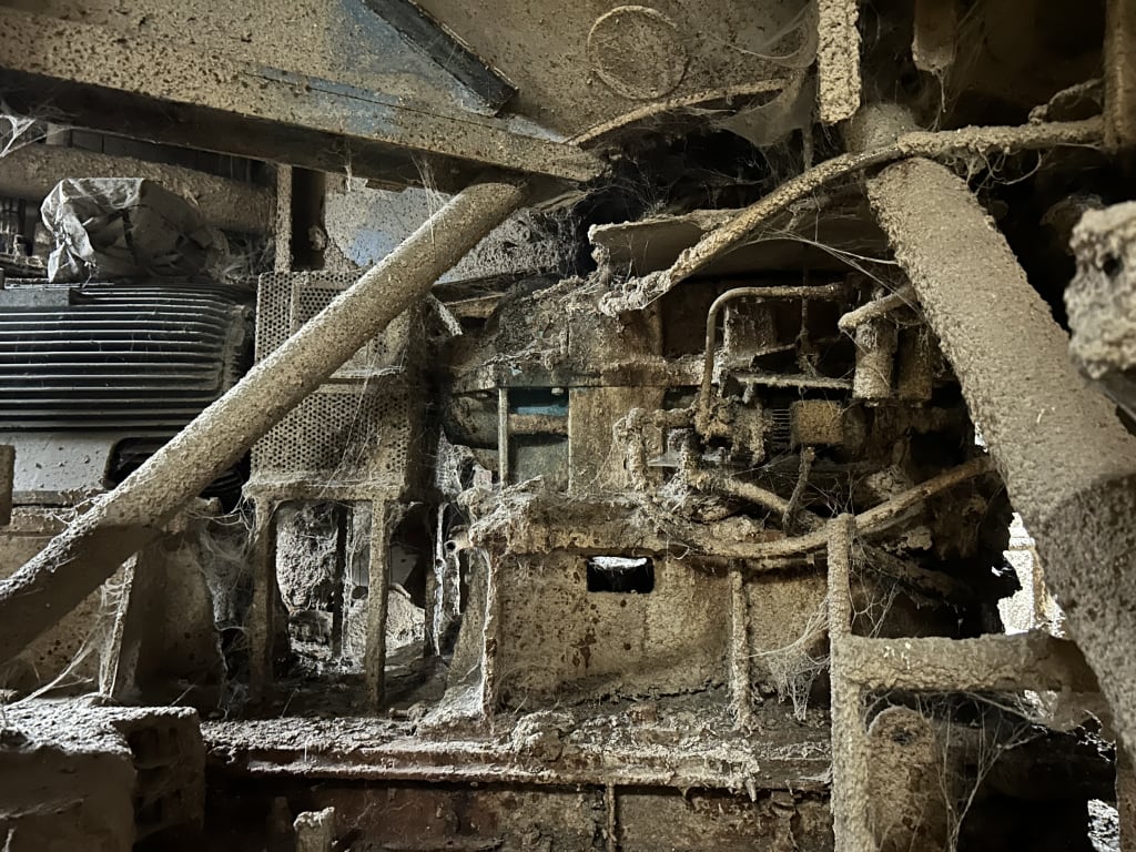 EU533127_5.jpg