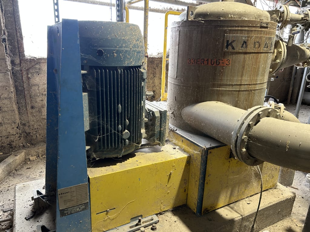 EU533113_2.jpg