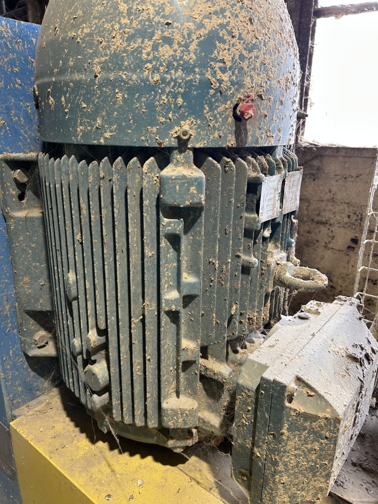 EU533113_9.jpg