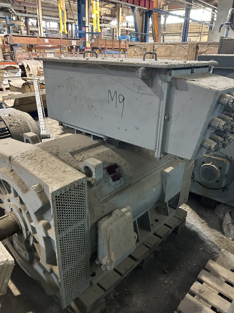 EU533153_4.jpg