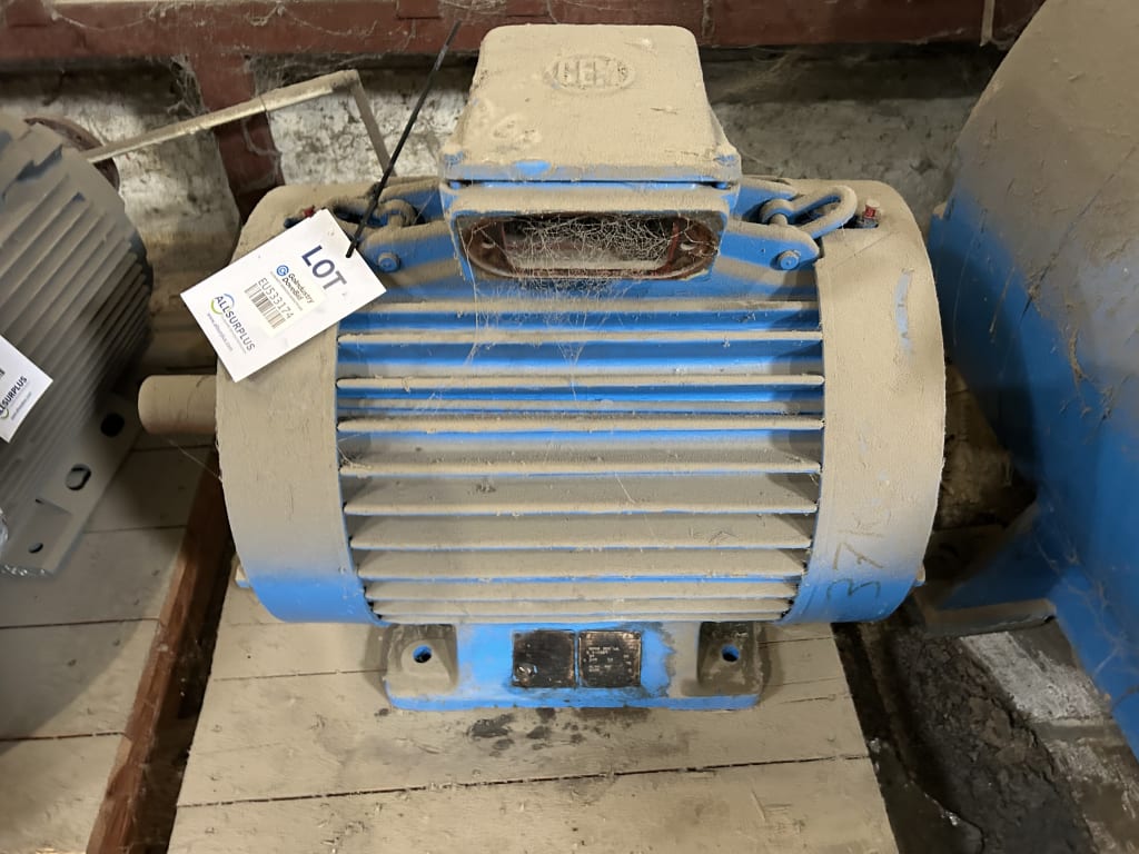 EU533174_1.jpg