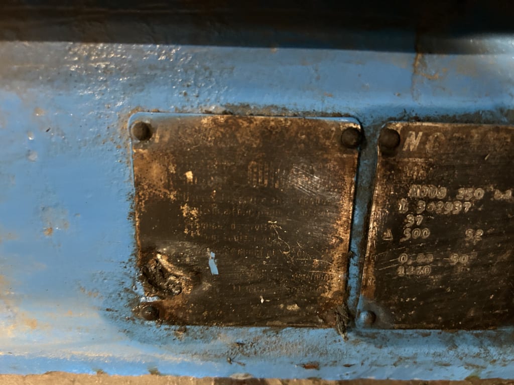 EU533174_9.jpg