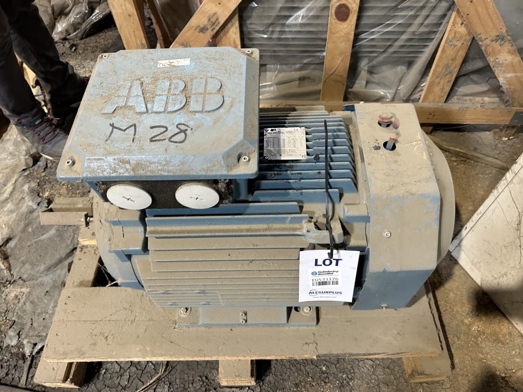 EU533176_2.jpg