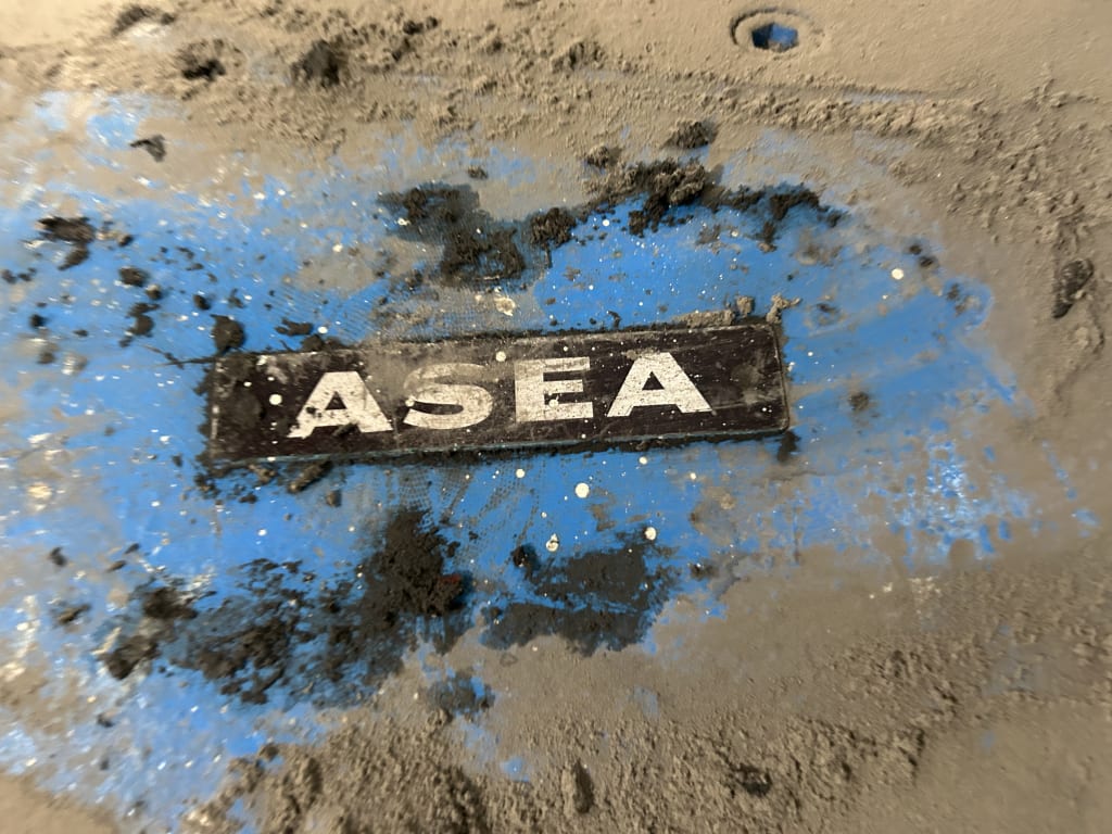 EU533175_7.jpg