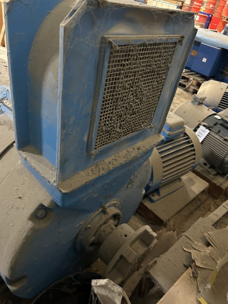 EU533175_8.jpg