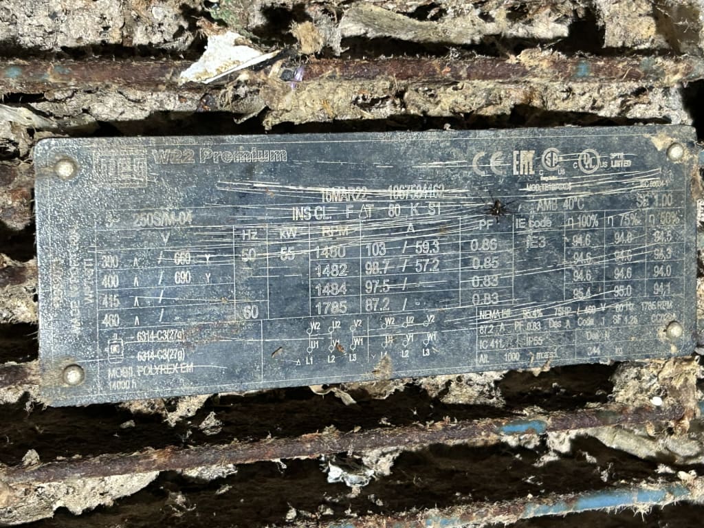 EU533133_6.jpg