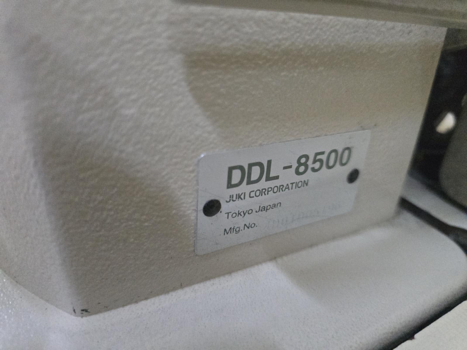8030823_07.jpg