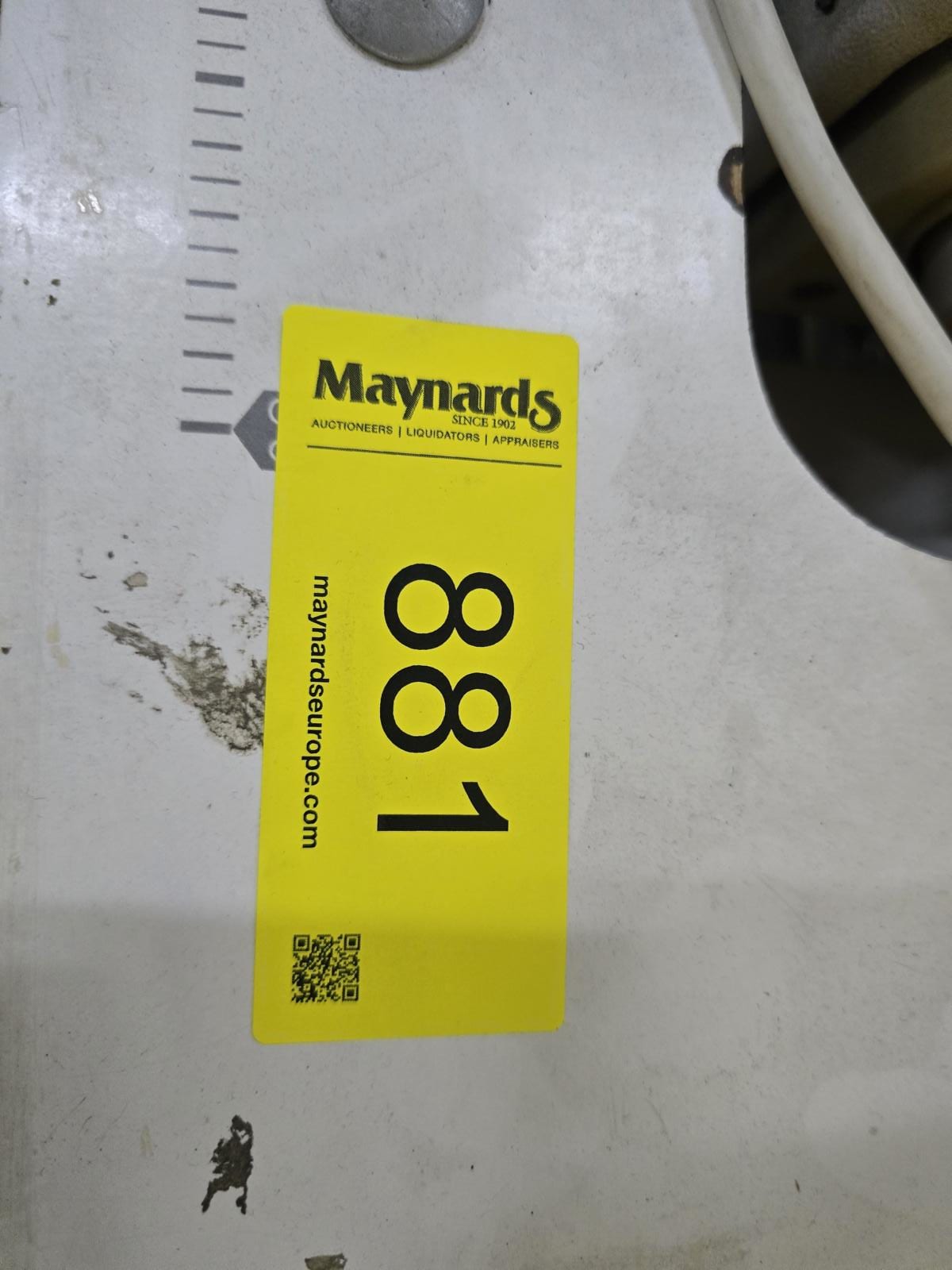 8030881_99.jpg