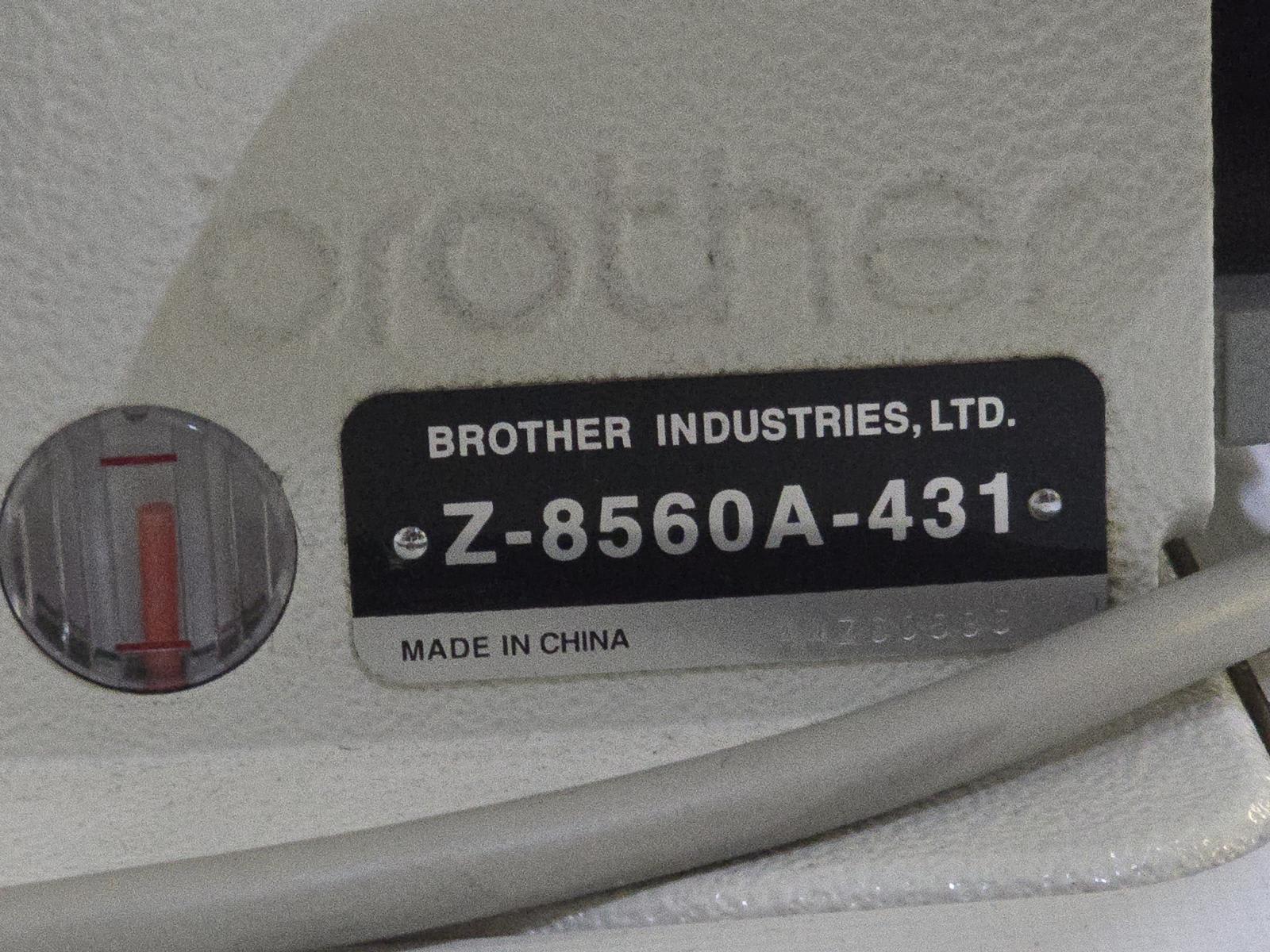 8030861_05.jpg