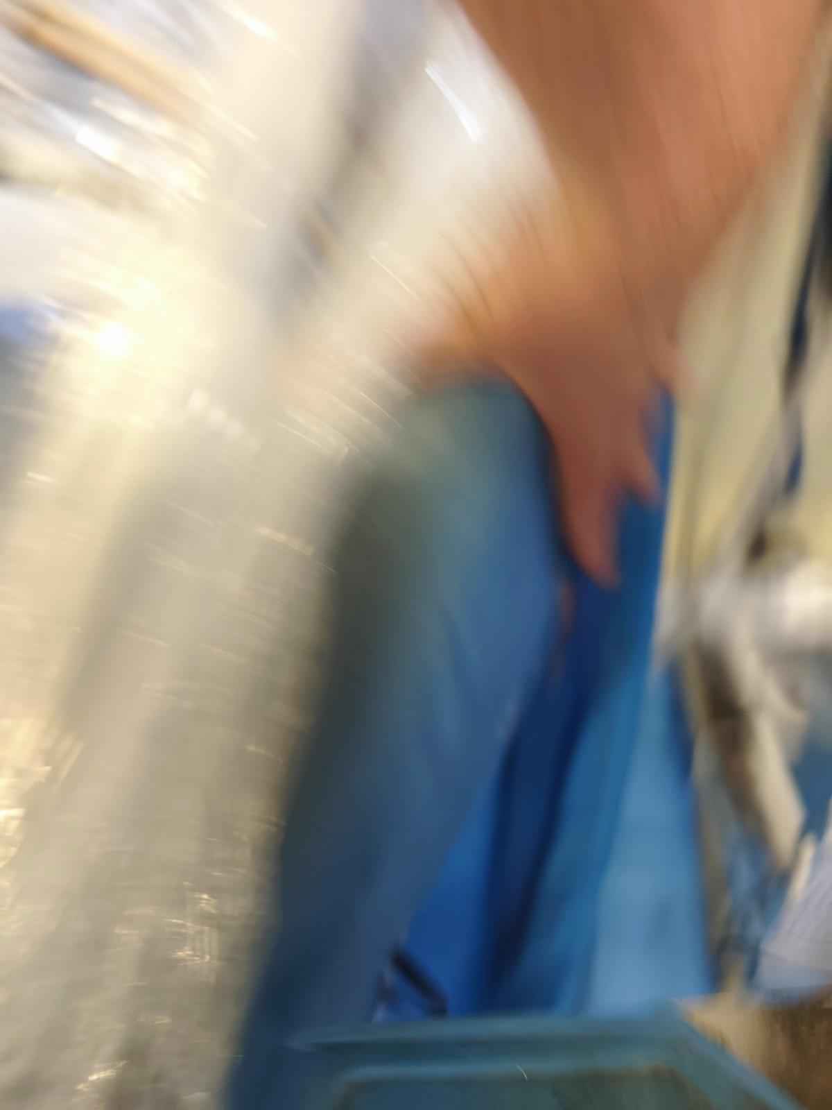 8030922_05.jpg