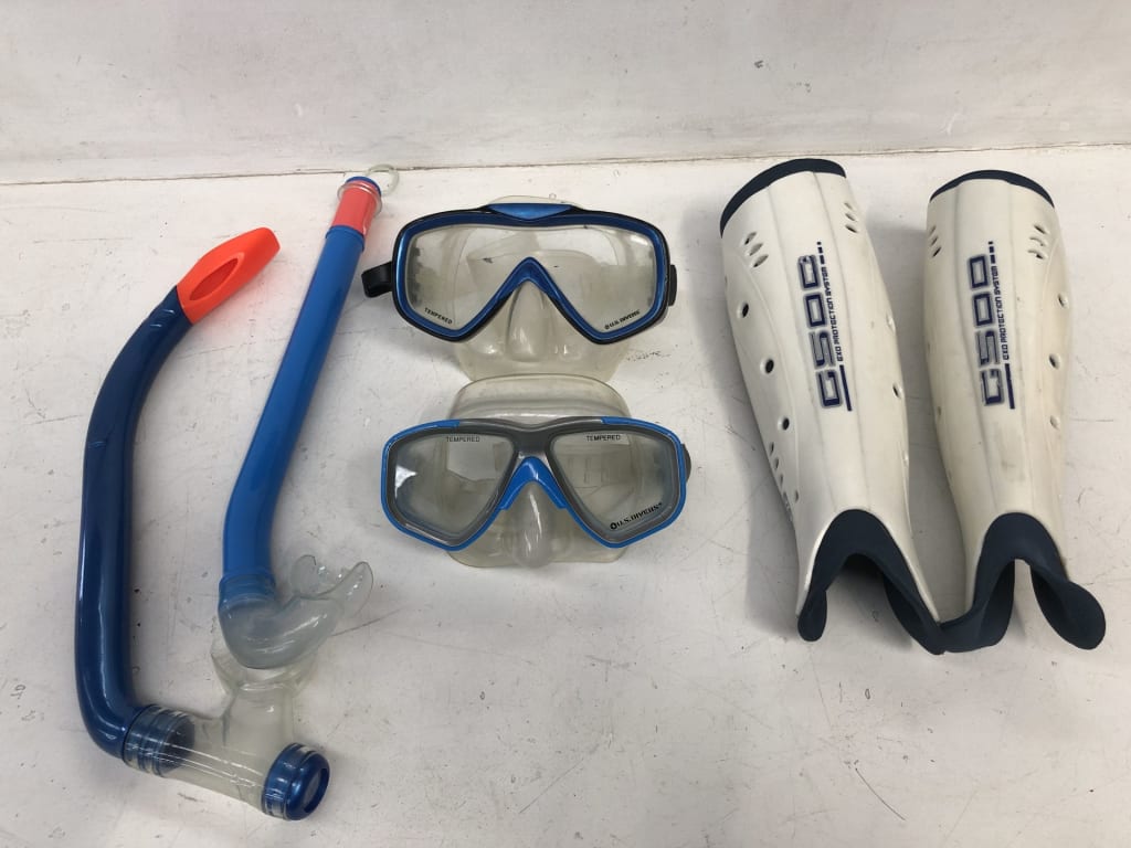 SHIN PADS &amp; SNORKELLING GEAR — NZ auction result