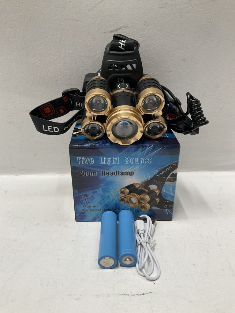 HEAD TORCH — NZ auction result