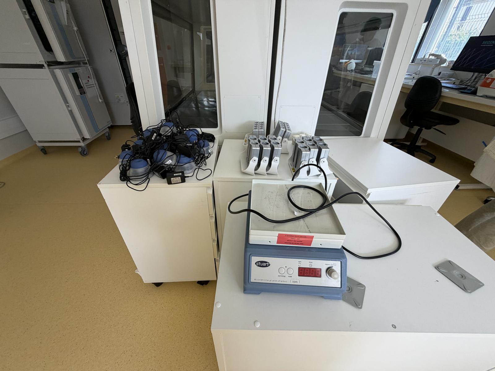 Shaker, Lab Dancer, Dinamag50