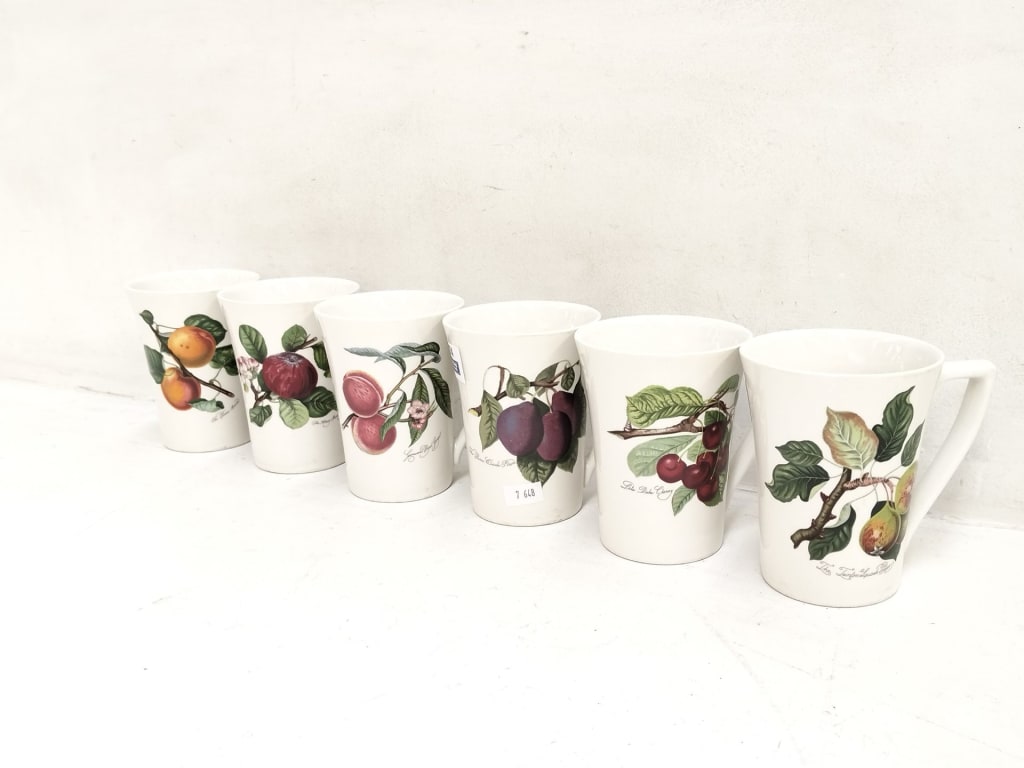 6 PORTMEIRION MUGS — NZ auction result