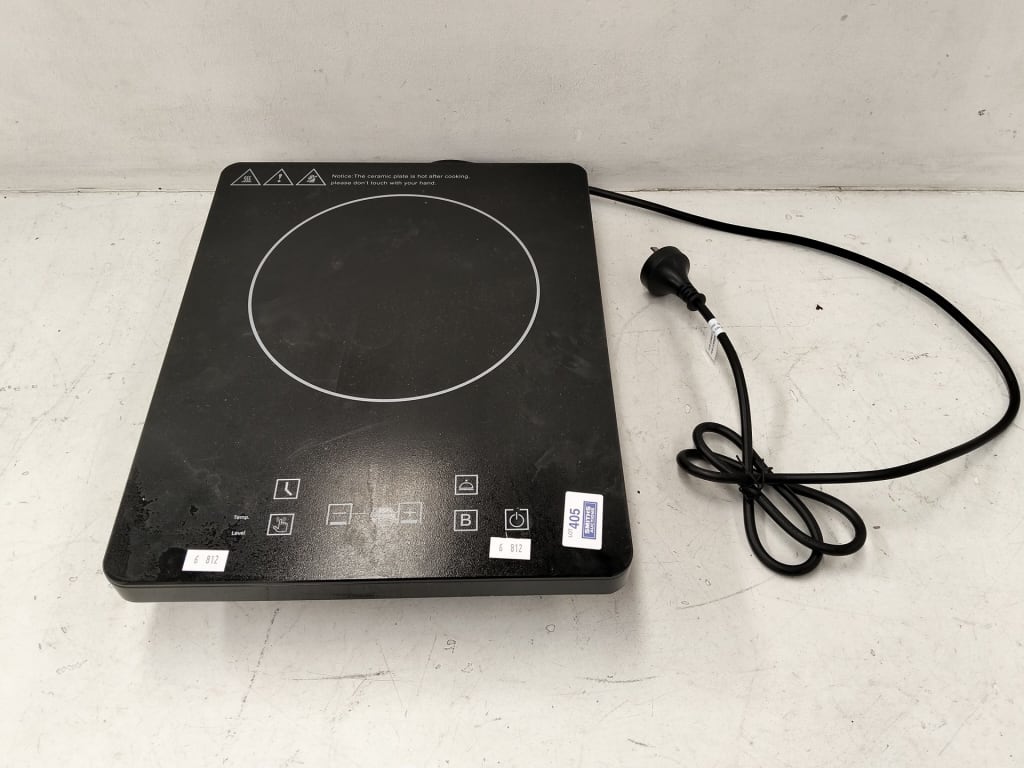INDUCTION HOTPLATE — NZ auction result
