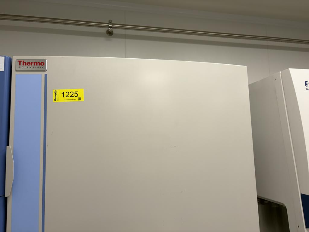 3121225_06.jpg