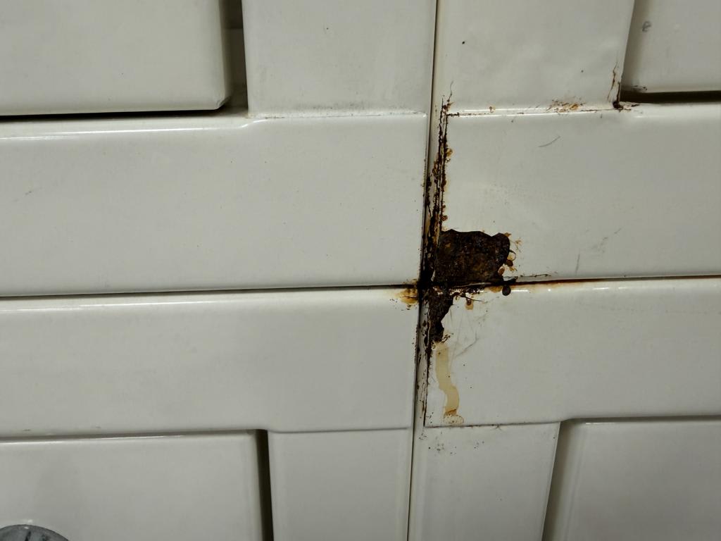 3121241_07.jpg
