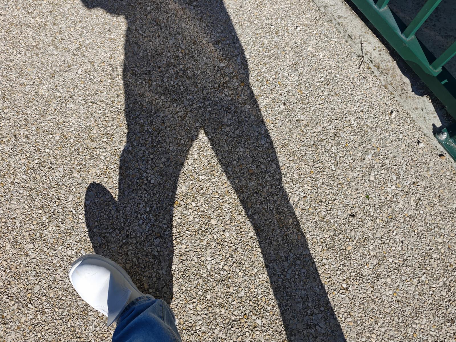 3121352_03.jpg