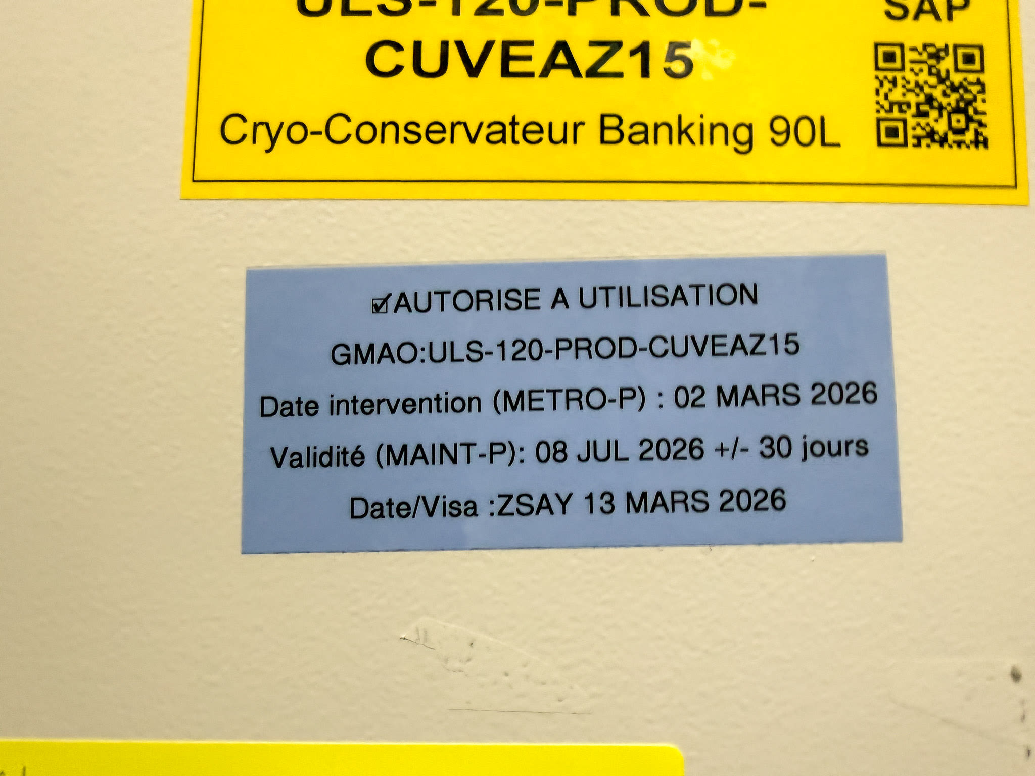 3121393_06.jpg