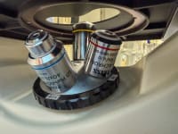 Upcoming | Biopharma R&amp;D Laboratory Medigene GmbH, Munich - 8